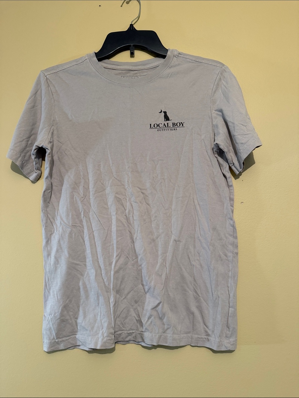 Local Boy Outfitters Kids Short-Sleeve Tee in Light Gray